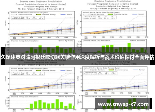 久保建英对阵阿根廷欧协联关键作用深度解析与战术价值探讨全面评估