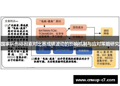 国家队伤停因素对比赛成绩波动的影响机制与应对策略研究 国家队伤停因素对比赛成绩波动的影响机制与应对策略研究